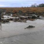dungeness river floodplain, Dungeness Floodplains by Design